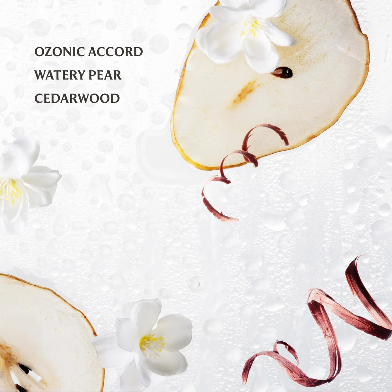 Touchland Power Mist Hand Sanitizer | Rainwater