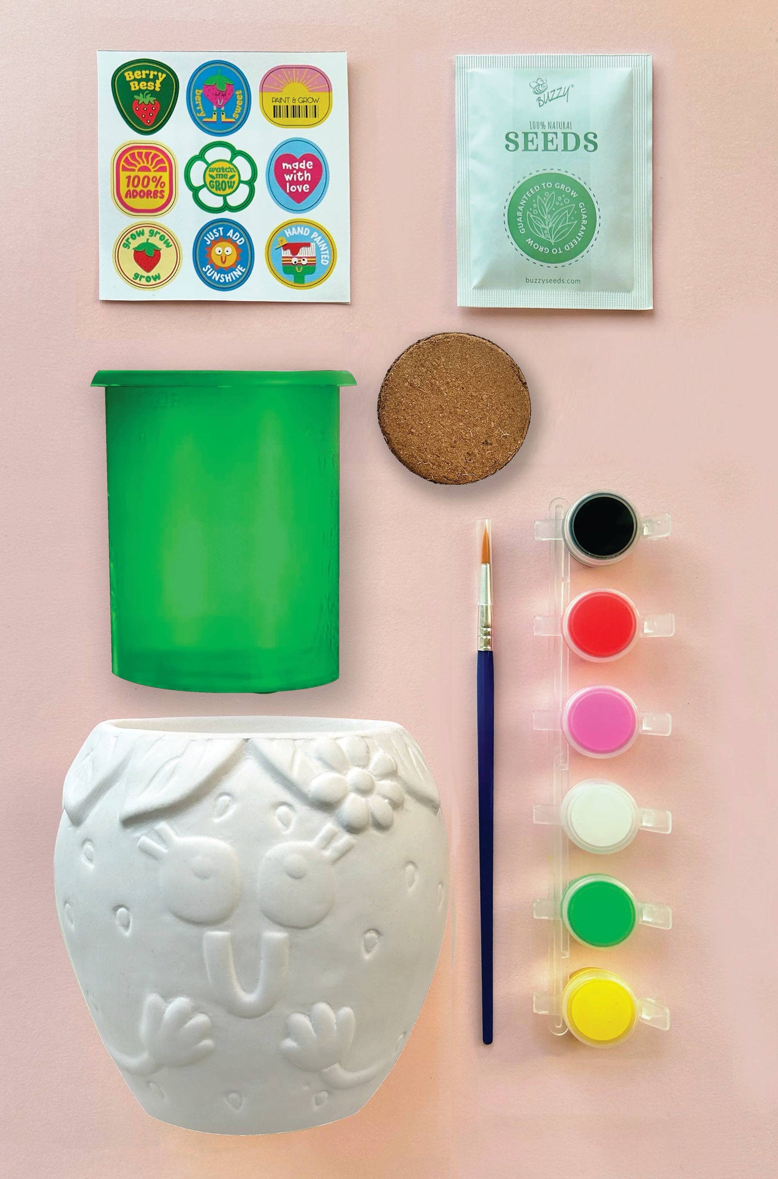 Bright Stripes Paint & Grow | Strawberry