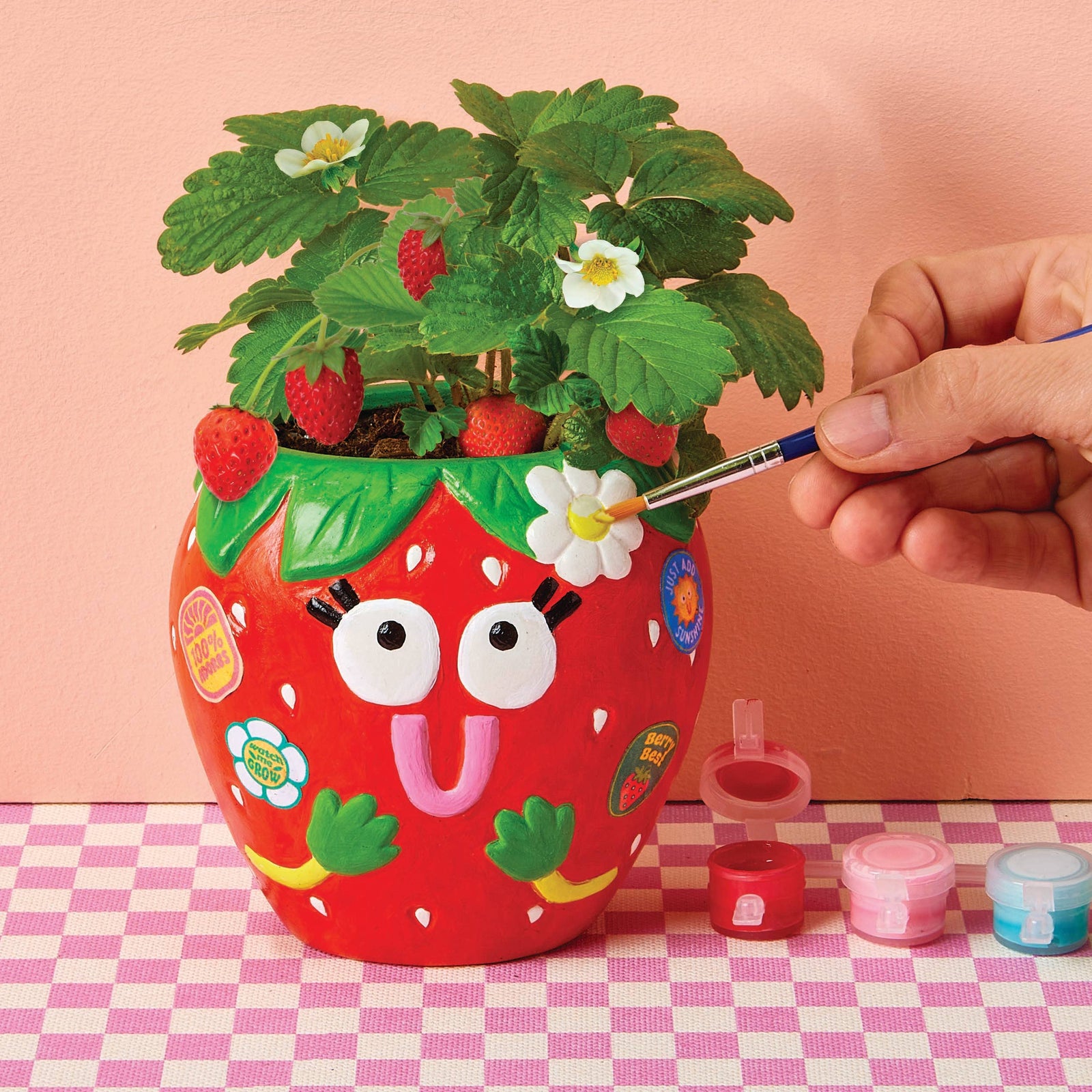 Bright Stripes Paint & Grow | Strawberry