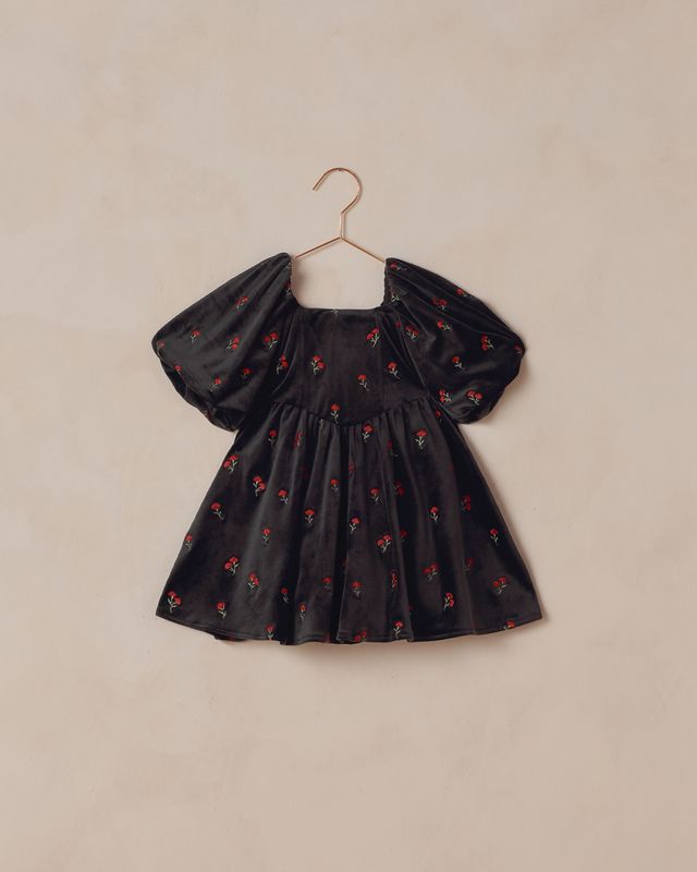 Noralee Nina Dress | Velvet Floral