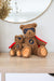 Alimrose Baby Superhero Ted
