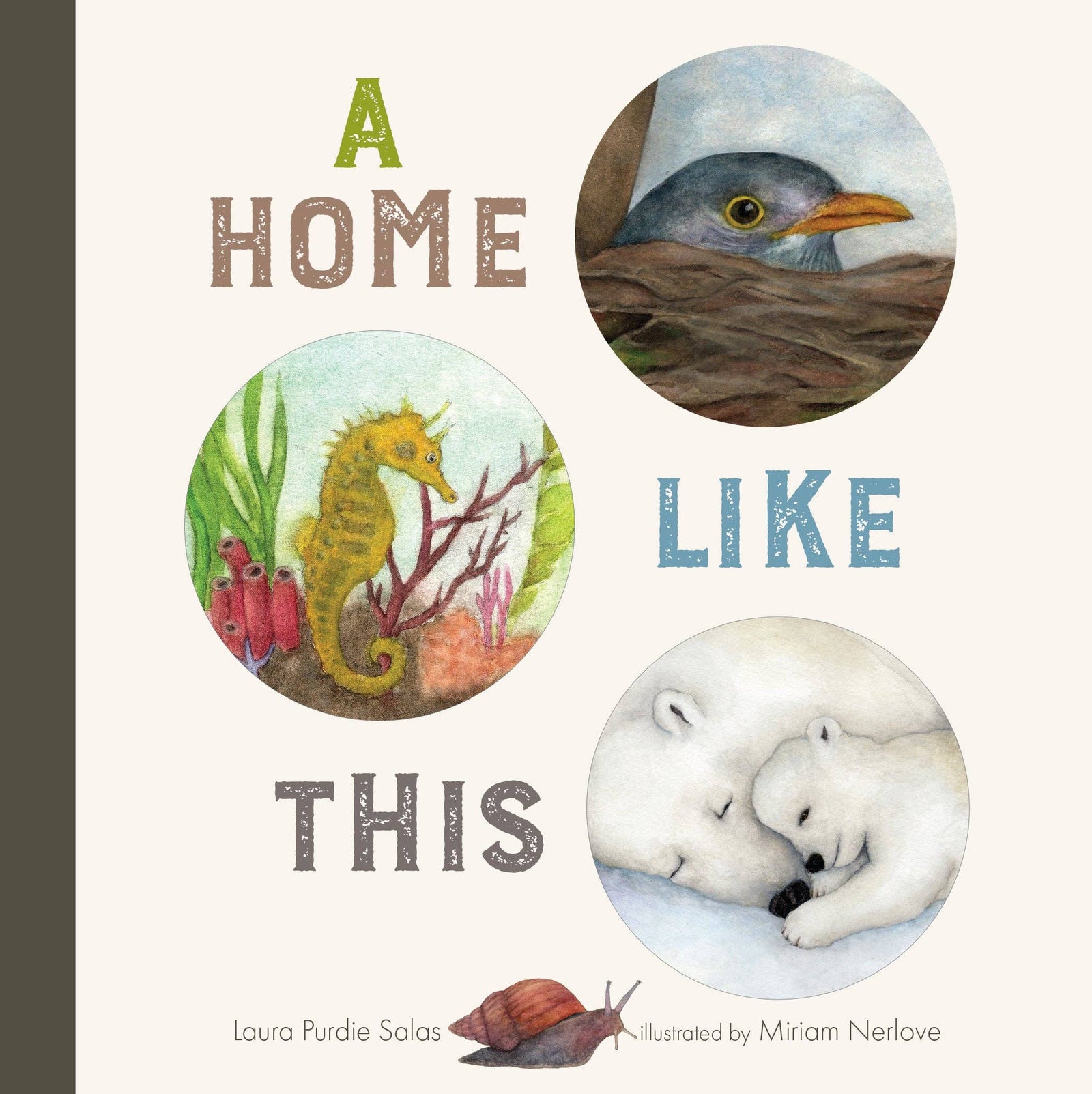 A Home Like This Book