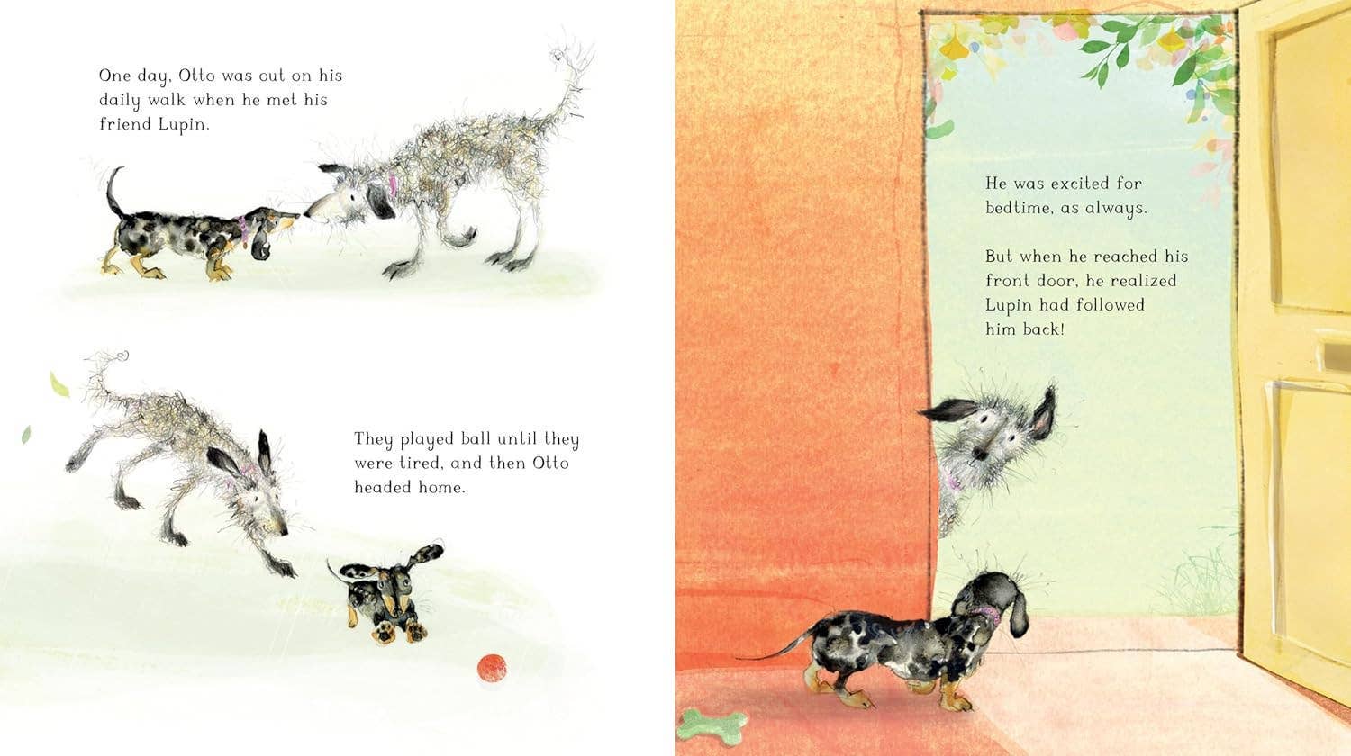 Otto | The Top Dog