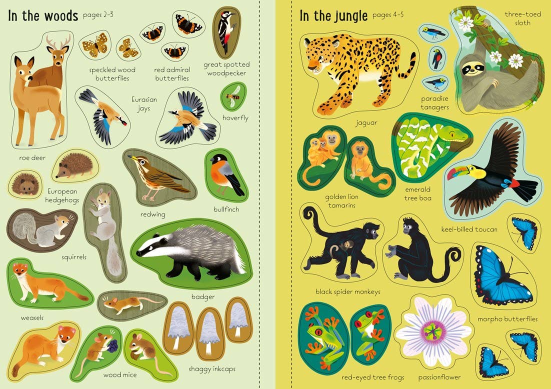 Little First Stickers Nature