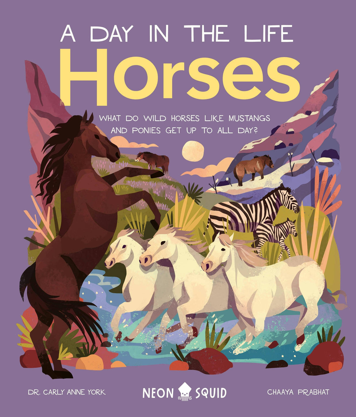 Horse Daily Life Of Wild Mustangs And Ponies