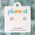 Pierced Co. Skull Screwback Earrings
