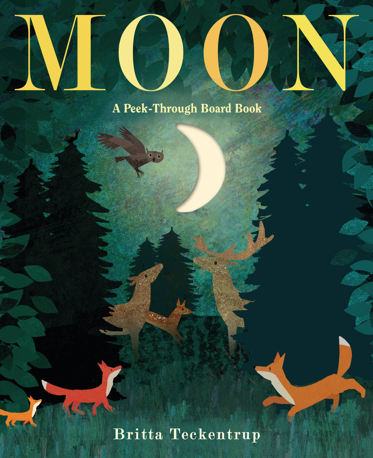 Moon | A Peek-Through Board Book