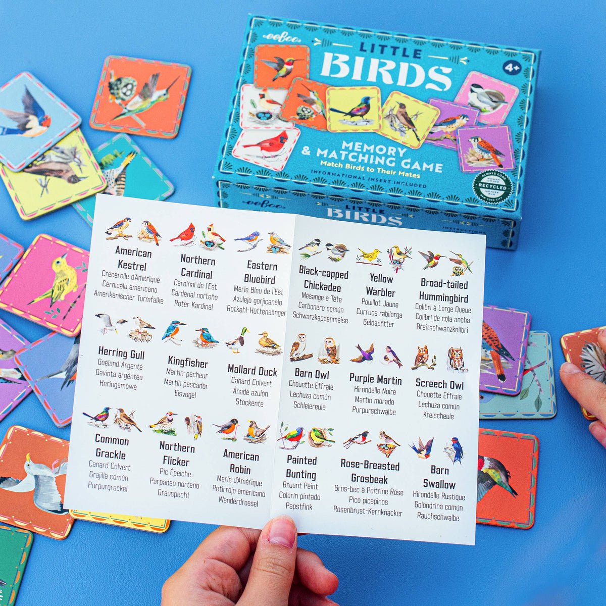 eeBoo Little Birds Memory & Matching Game