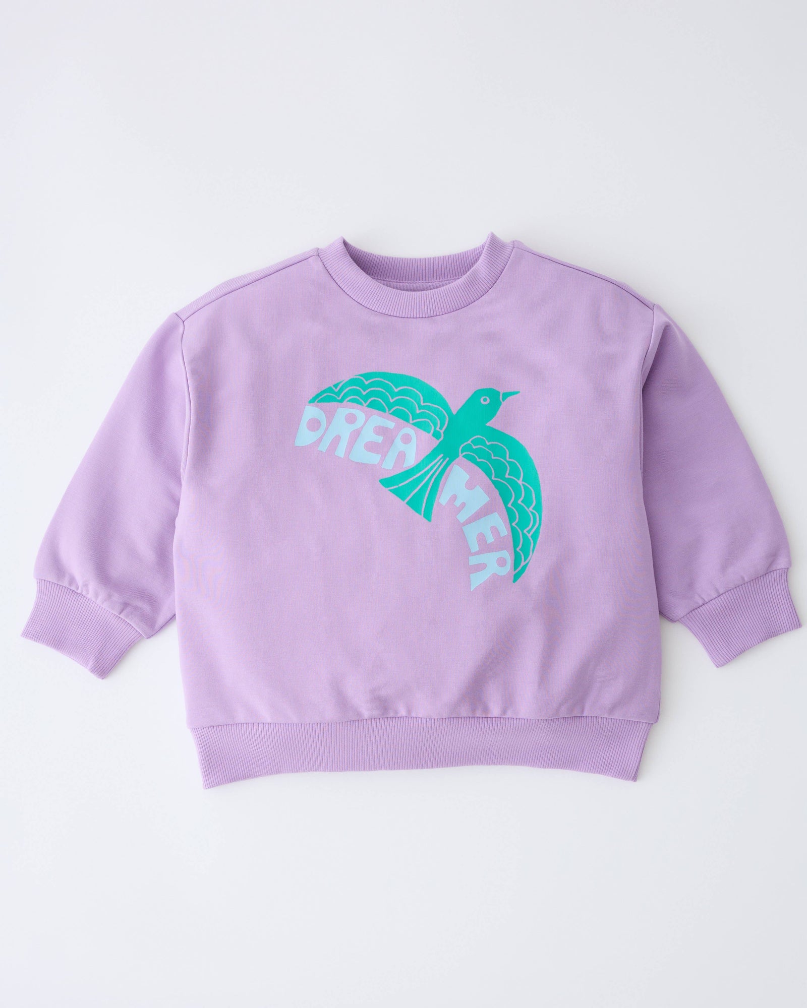 Kindred Bravely Sweatshirt | Dreamer