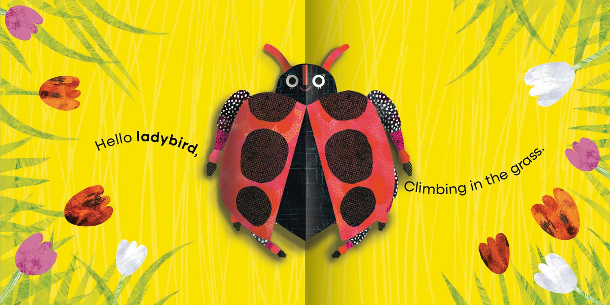 Chronicle Books - My First Pop-Up: Bugs