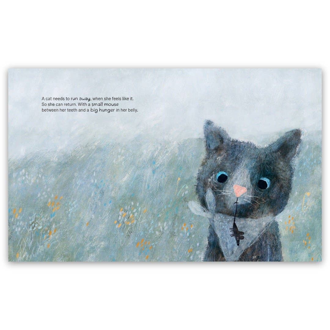 What a Small Cat Needs