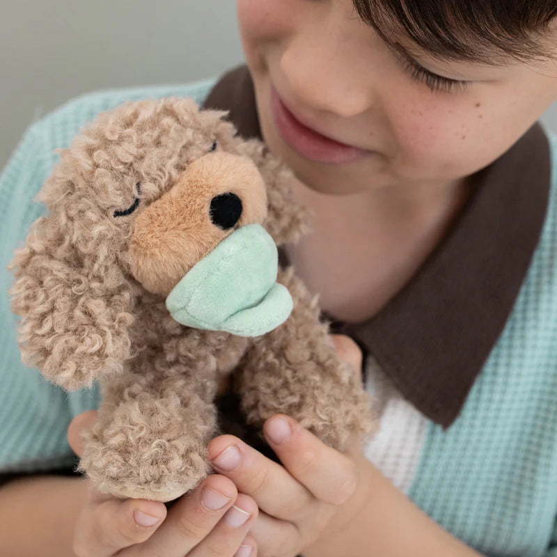 Olli Ella Binky Puppies| Benny