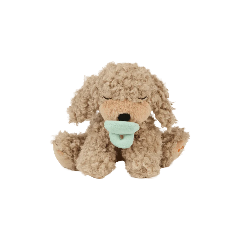 Olli Ella Binky Puppies| Benny