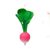Ramona the Radish Teether and Bath Toy