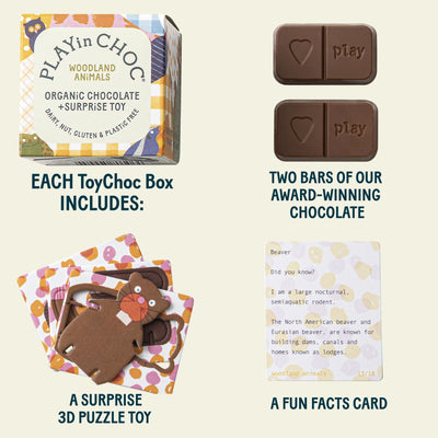 Woodland Animals ToyChoc Box®